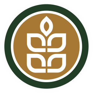Massape