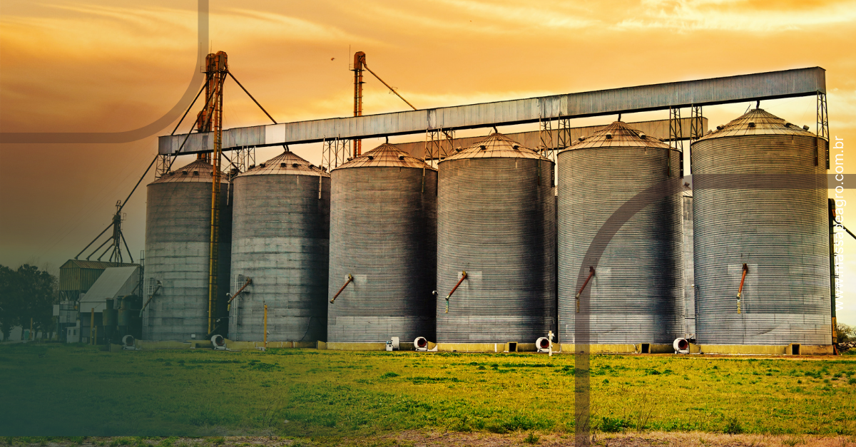 Silos: Como escolher o projeto ideal para o seu negócio?