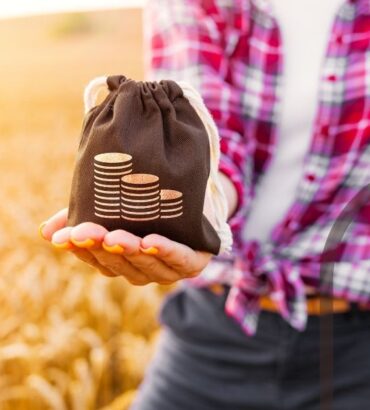 Como o crédito agrícola pode impulsionar sua produtividade?