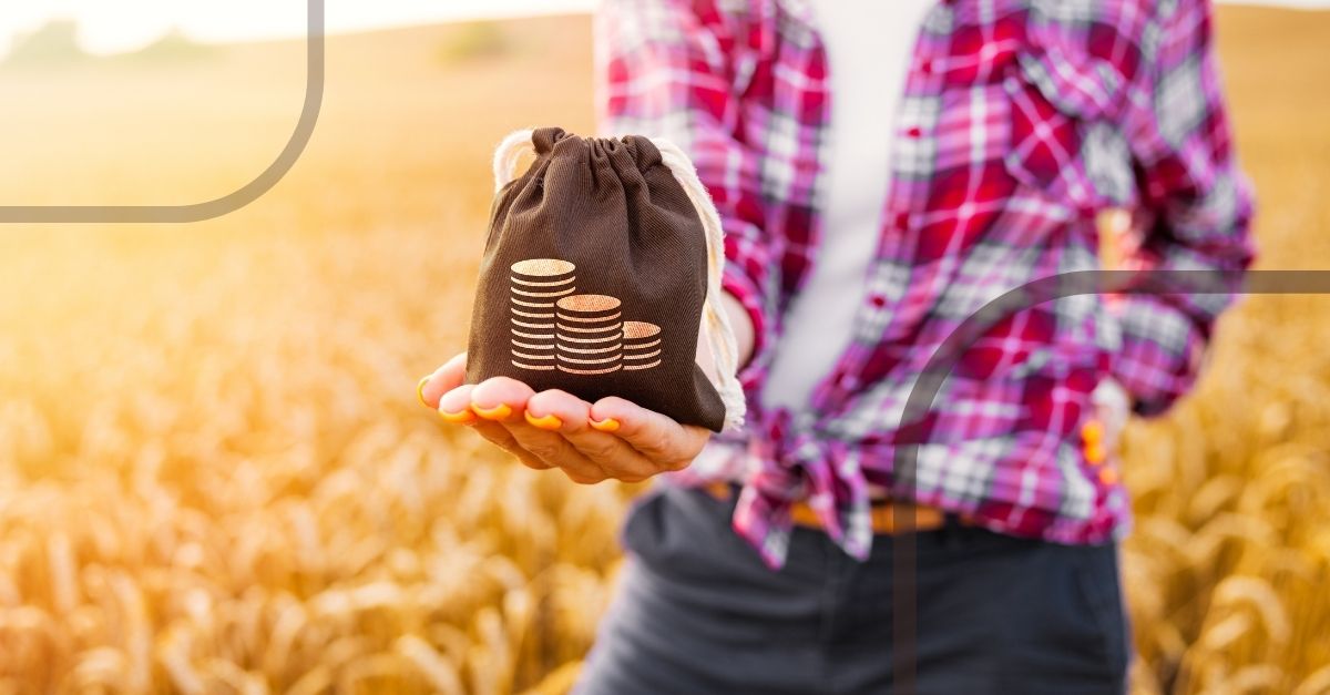 Como o crédito agrícola pode impulsionar sua produtividade?