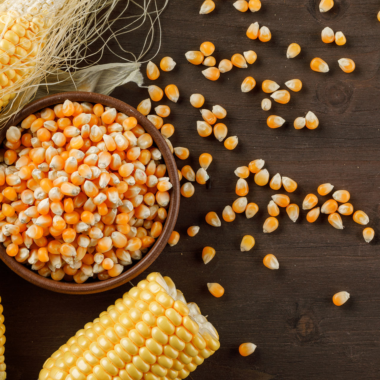 Corn grains in a clay plate with cobs flat lay on a wooden background